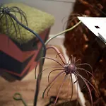 Penzion Basque Boutique